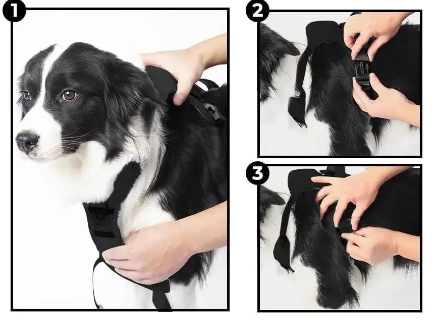 AMOBOX Dog Harness Soft Leash Retractable,Adjustable for Large Dogs Slip with Leash Handle,Comfortable with Integrated and Anti